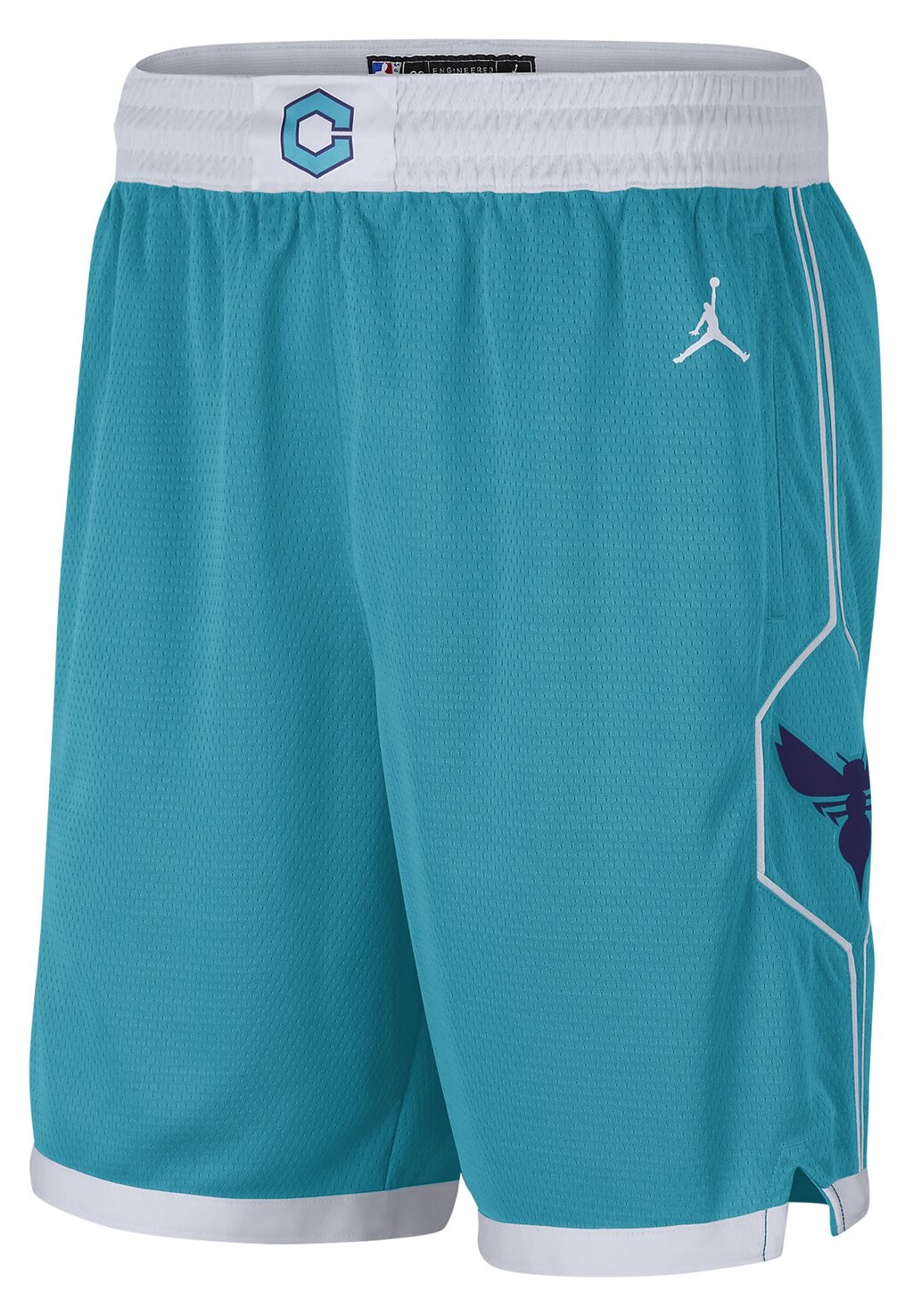 

Спортивные шорты Nba Charlotte Hornets Nba Fanwear Swgmn Nike, цвет rapid teal/white