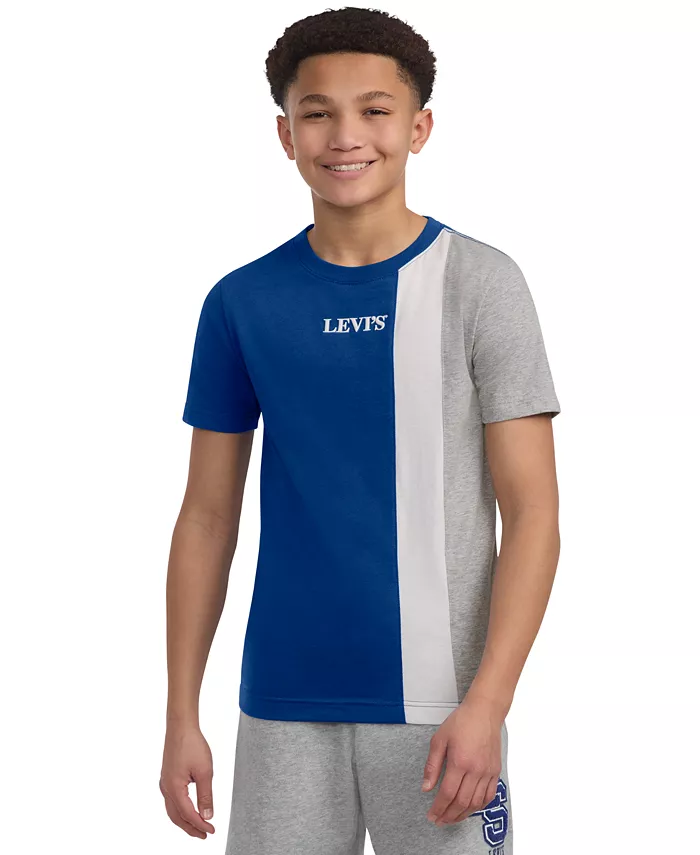 

Футболка Big Boys Streamline с цветными блоками Levi's, синий
