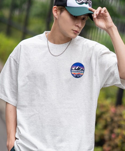 

Футболка с коротким рукавом, графический принт SIDEWAY STANCE, серый