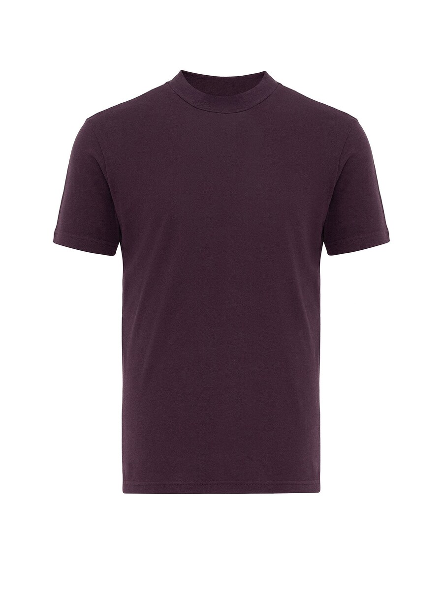 

Классическая футболка Antioch Shirt, цвет aubergine