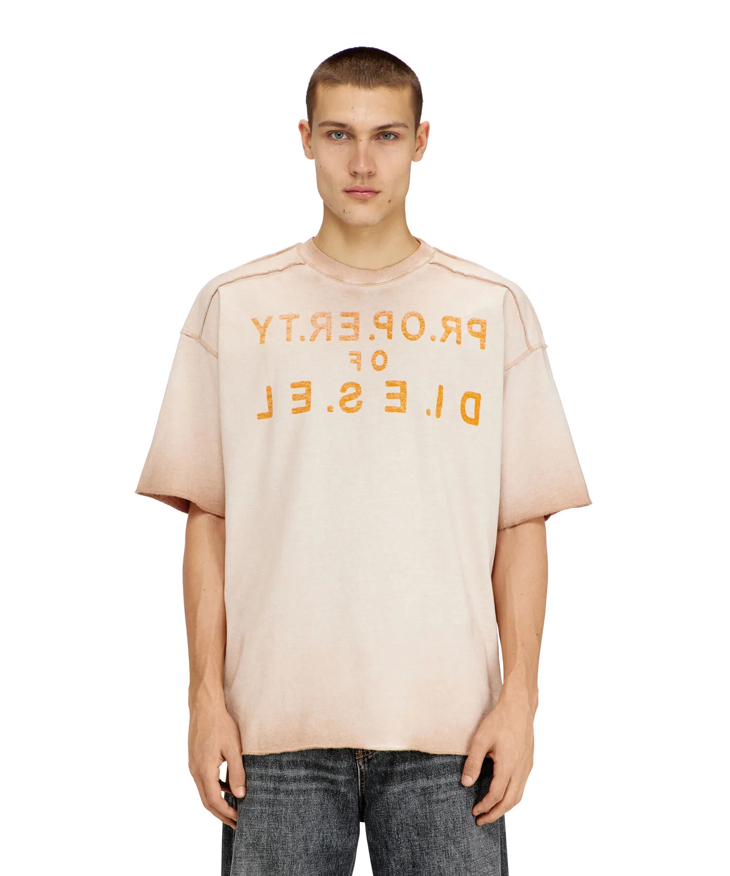 Мужская футболка с принтом DIESEL T-LOOK бежевый