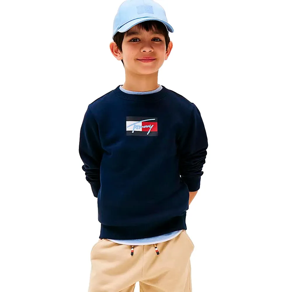 

Толстовка Tommy Hilfiger Script Flag, синий