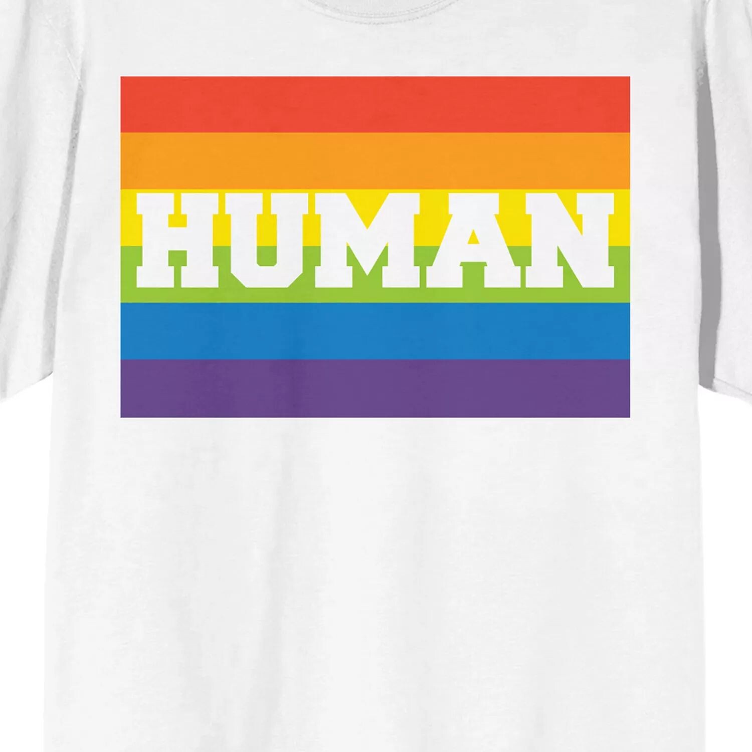 

Мужская футболка Pride Flag Human Licensed Character