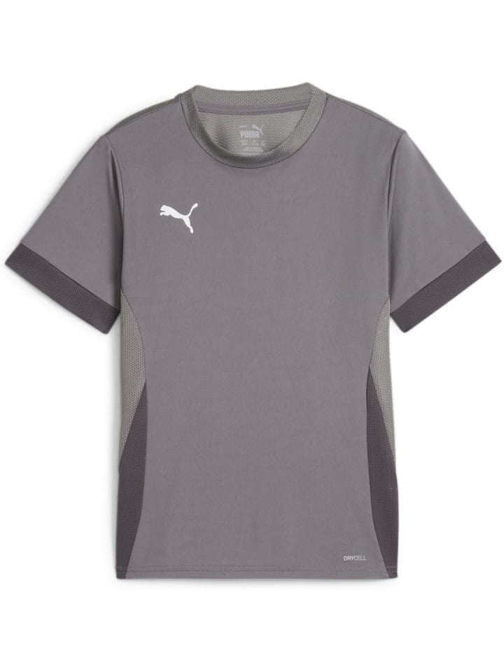 

Спортивная футболка TeamGoal Matchday Jersey jr серого цвета Puma