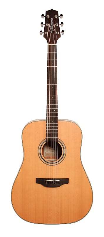 

Акустическая гитара Takamine GD20 - G20 Series Dreadnought Acoustic Guitar - Mahogany - Dealer! - New! - Ships FREE!