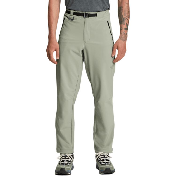 

Повседневные брюки мужские шалфейного цвета THE NORTH FACE, зеленый