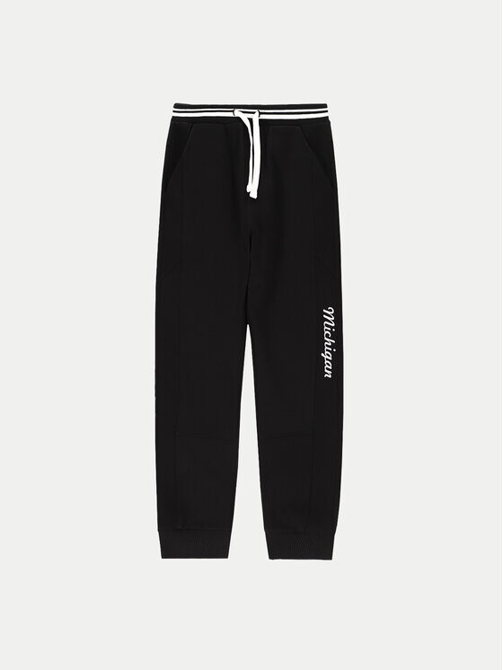 

Спортивные брюки regular fit Coccodrillo, черный