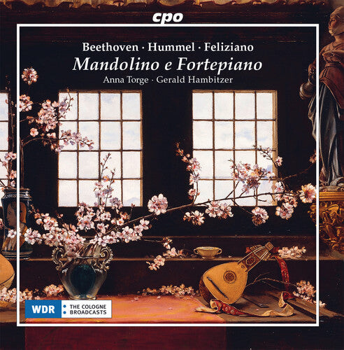 

CD диск Beethoven / Torge / Hambitzer: Mandolino E Fortepiano