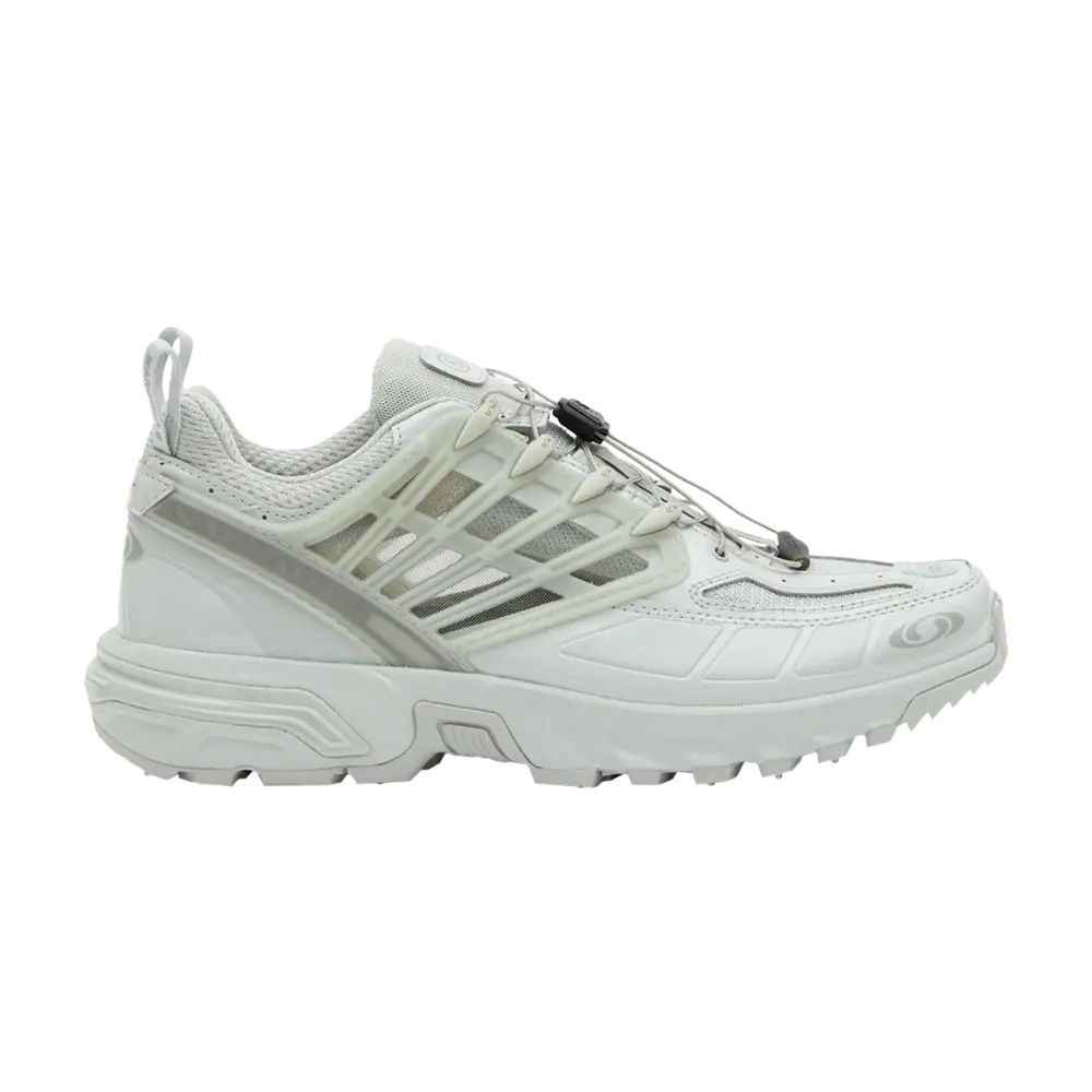 

Кроссовки MM6 Maison Margiela x Wmns ACS Pro Advanced Salomon, серый