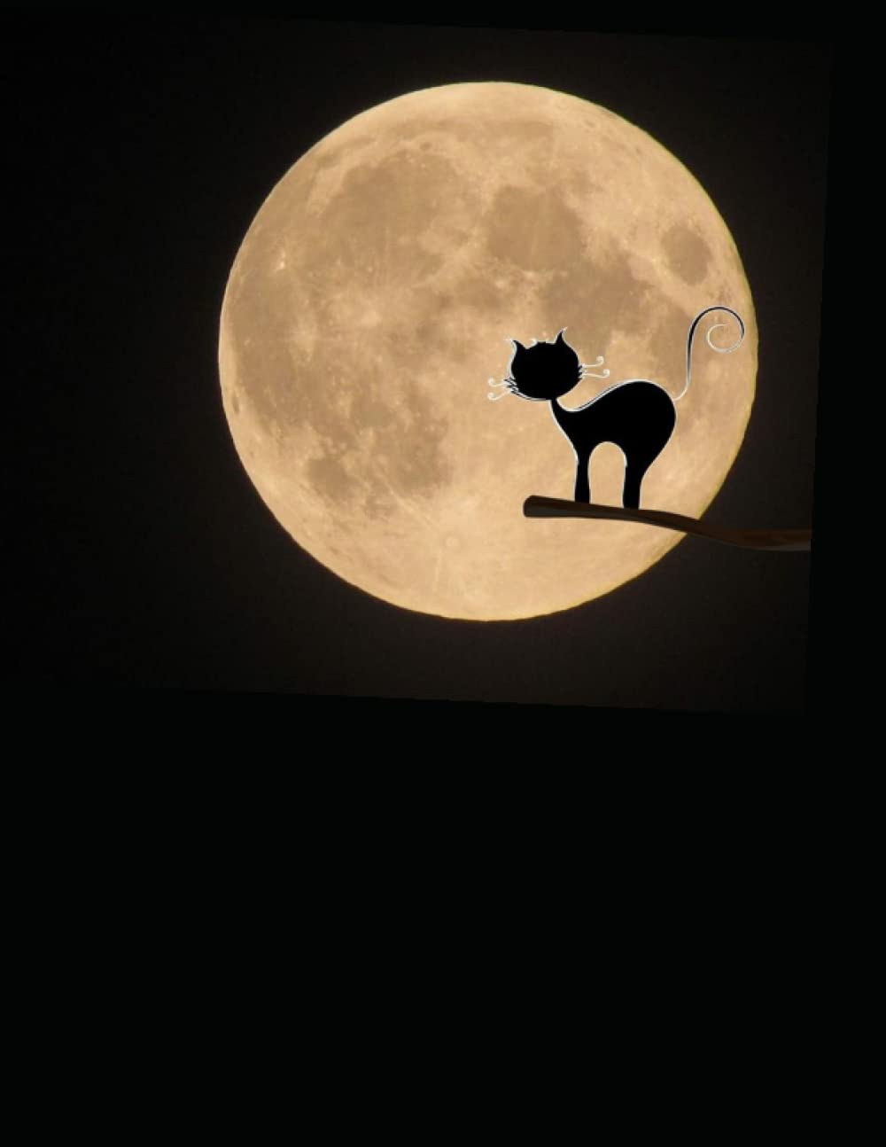 

moon cat notebook : Cat and Moon Notebook :Moon and Cat: 8.5*x11*Inch*, page:115 (Independently published)