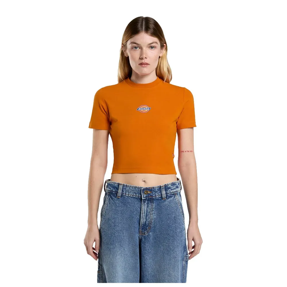 

Футболка с коротким рукавом Dickies Maple Valley, оранжевый