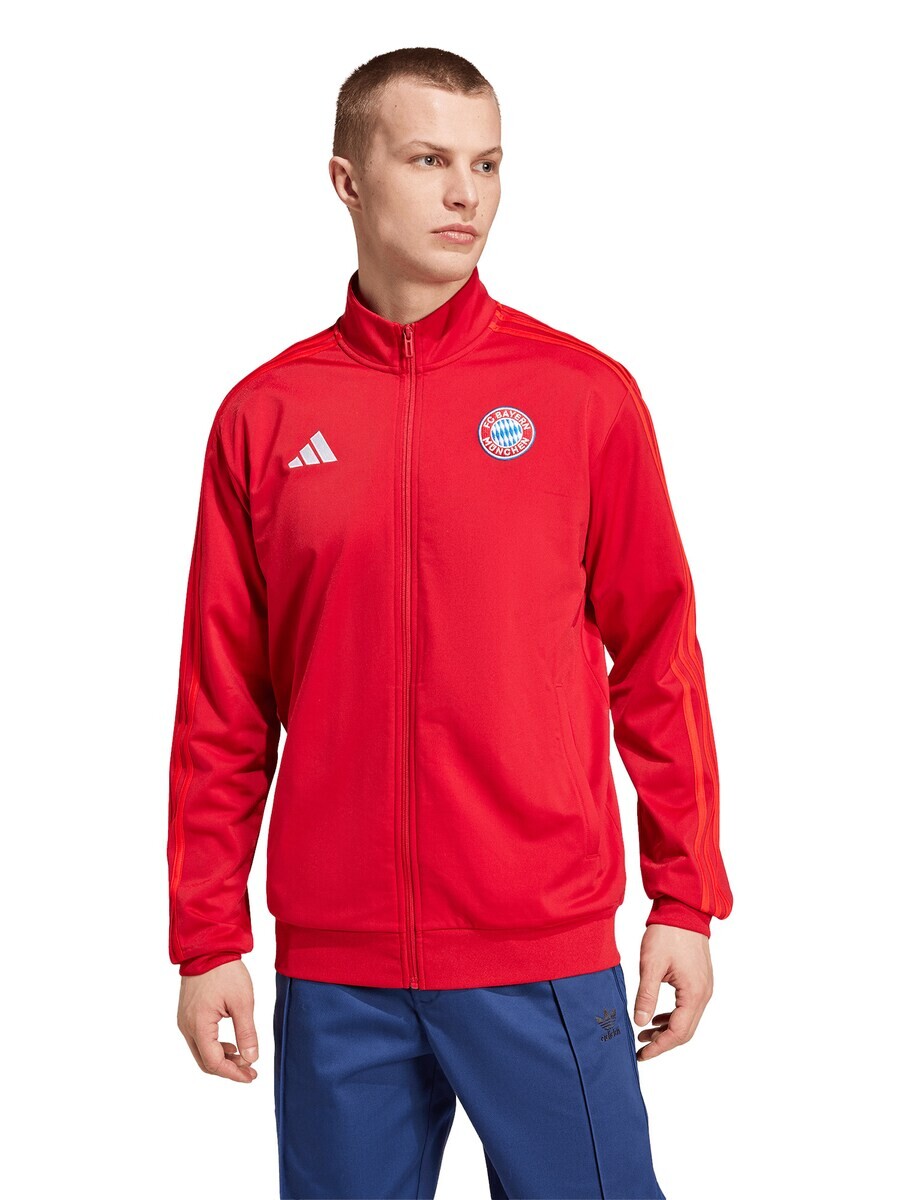 Спортивная толстовка ADIDAS PERFORMANCE Athletic Zip-Up Hoodie FC Bayern München, красный — фото 2
