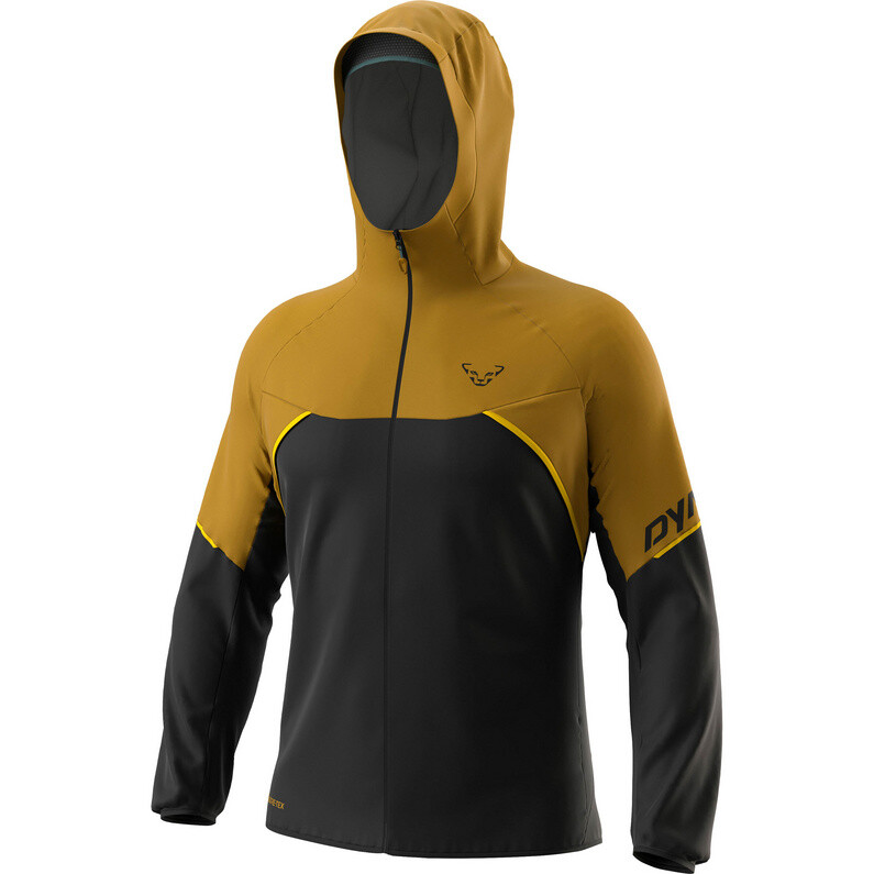 

Мужская куртка Alpine GTX Dynafit, зеленый