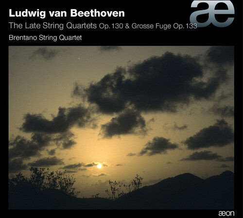 

CD диск Beethoven / Brentano String Qrt: Late STR QRTS Op. 130 & Grosse Fuge Op. 133