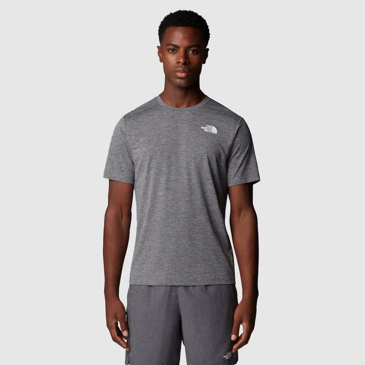 

Мужская футболка 24/7 The North Face, серый