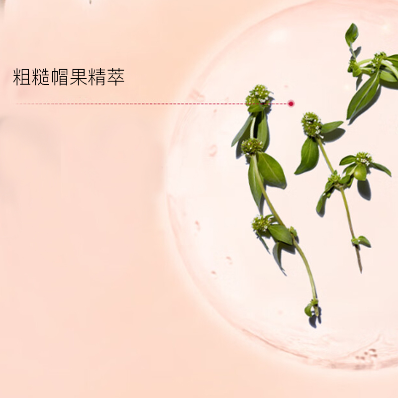 JIAOYUNSHI новогоднее лимитированное издание тоник для лица весенний увлажняющий успокаивающий подтягивающий отшелушивающий 200мл CLARINS — фото 3