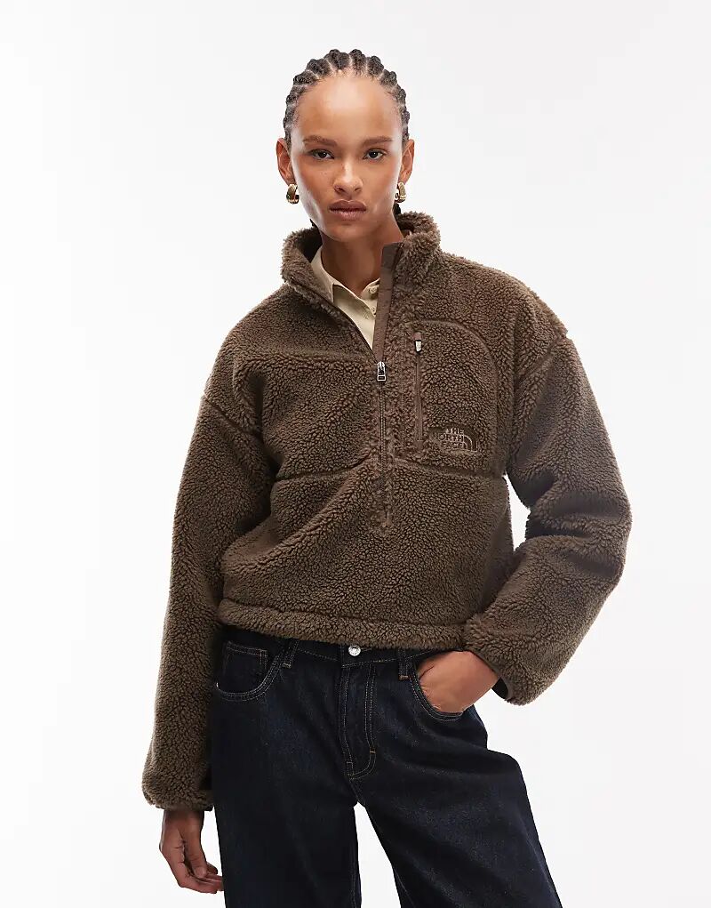 

Флисовая кофта North Face Extreme Borg с карманом-молнией и логотипом, коричневого цвета