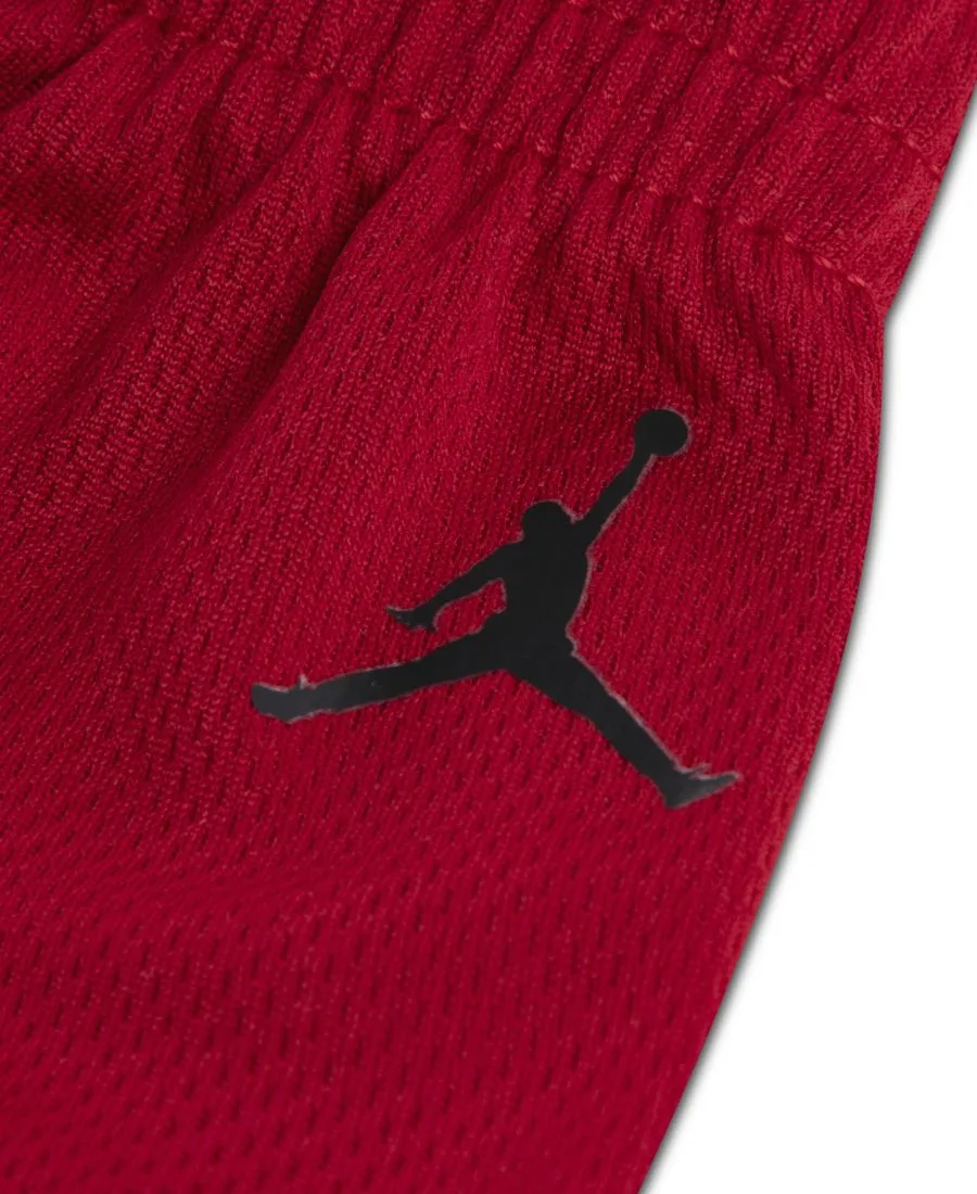 Детские шорты Arch Mesh для мальчиков 2T-4T Jordan, gym красный — фото 3