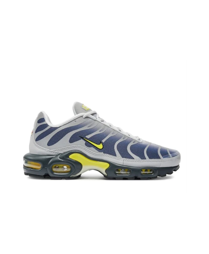 

Выразительные кроссовки Air Max Plus Nike, мультиколор