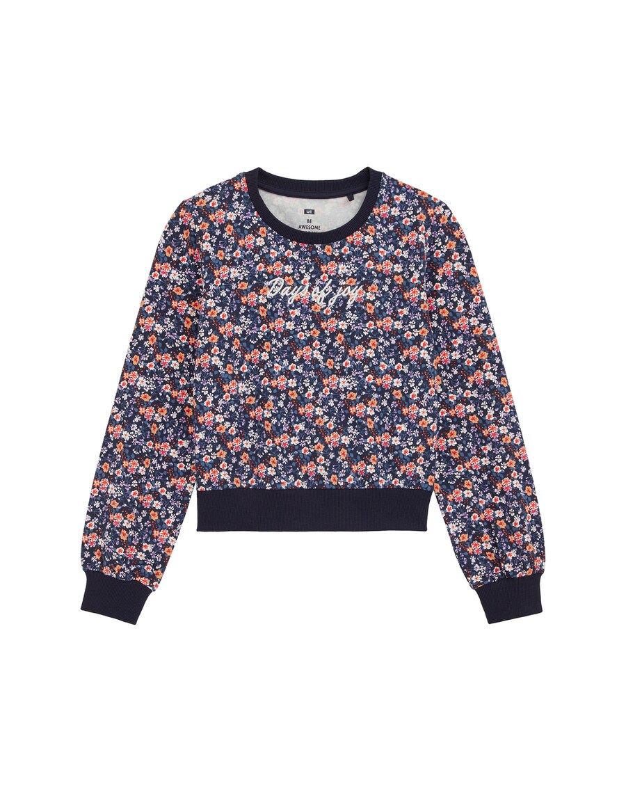 

Толстовка WE Fashion, темно-синий