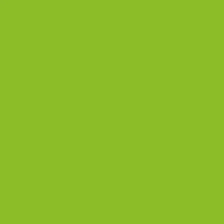 

Слизь зеленая (17 мл), 3rd Gen Acrylic - Color Punch