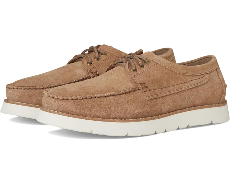 

Лоферы Steve Madden Kolt, цвет Taupe Suede