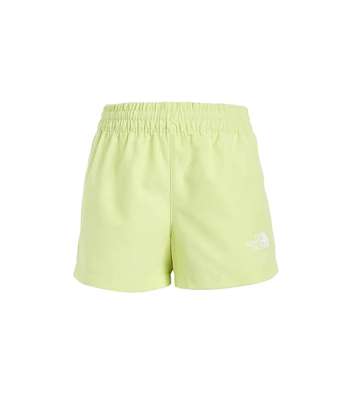 Шорты FlashDry Class V 3" The North Face Kids, Lemon Mist Logo Weather Topo Phantom Print