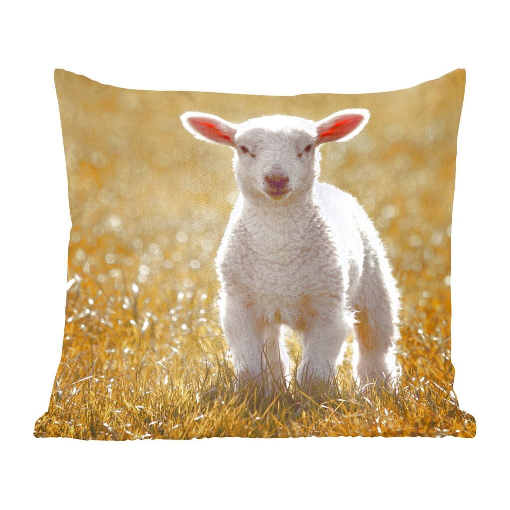 

MuchoWow декоративная подушка диванная подушка для гостиной декоративная подушка 40х40 см ягненок - трава - солнце - чехлы на диванные подушки - без наполнителя