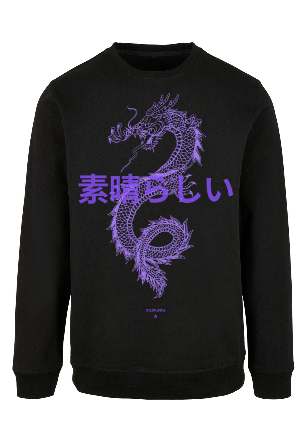 

Пуловер F4NT4STIC Sweatshirt Drache Lila, черный