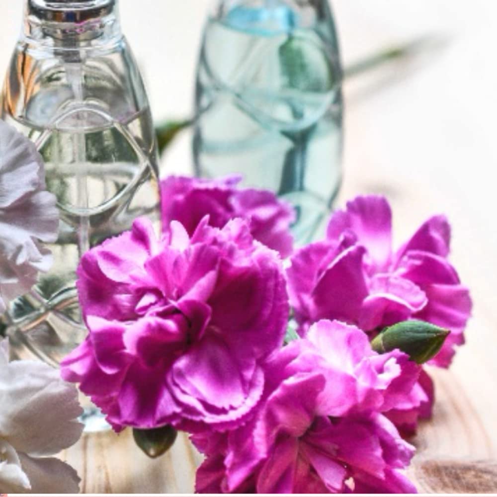 

clendrier 2023: Happy Life (Independently published)