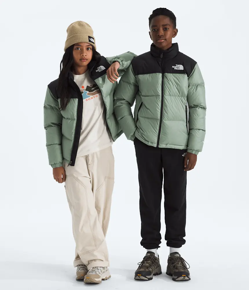 

Куртка Nuptse Retro 1996 для мальчиков и девочек The North Face, Slate Moss
