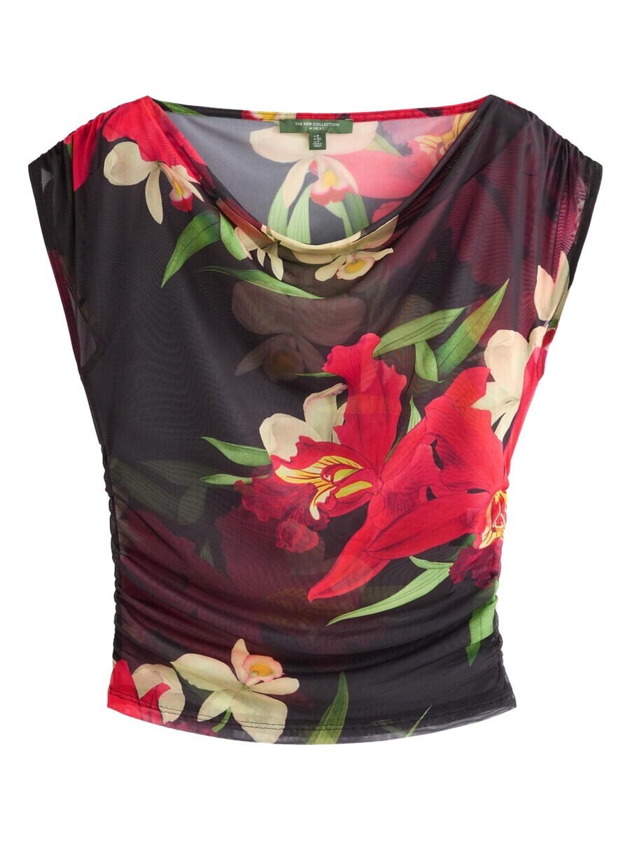 

Блуза Next Blouse, разноцветный