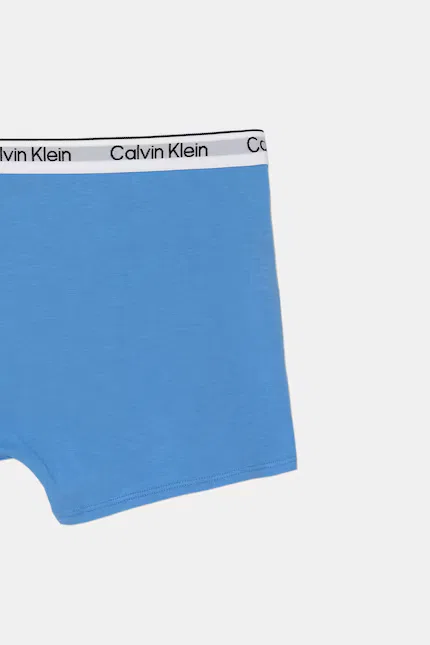 Боксеры детские хлопковые 2 шт Calvin Klein Underwear, синий — фото 4