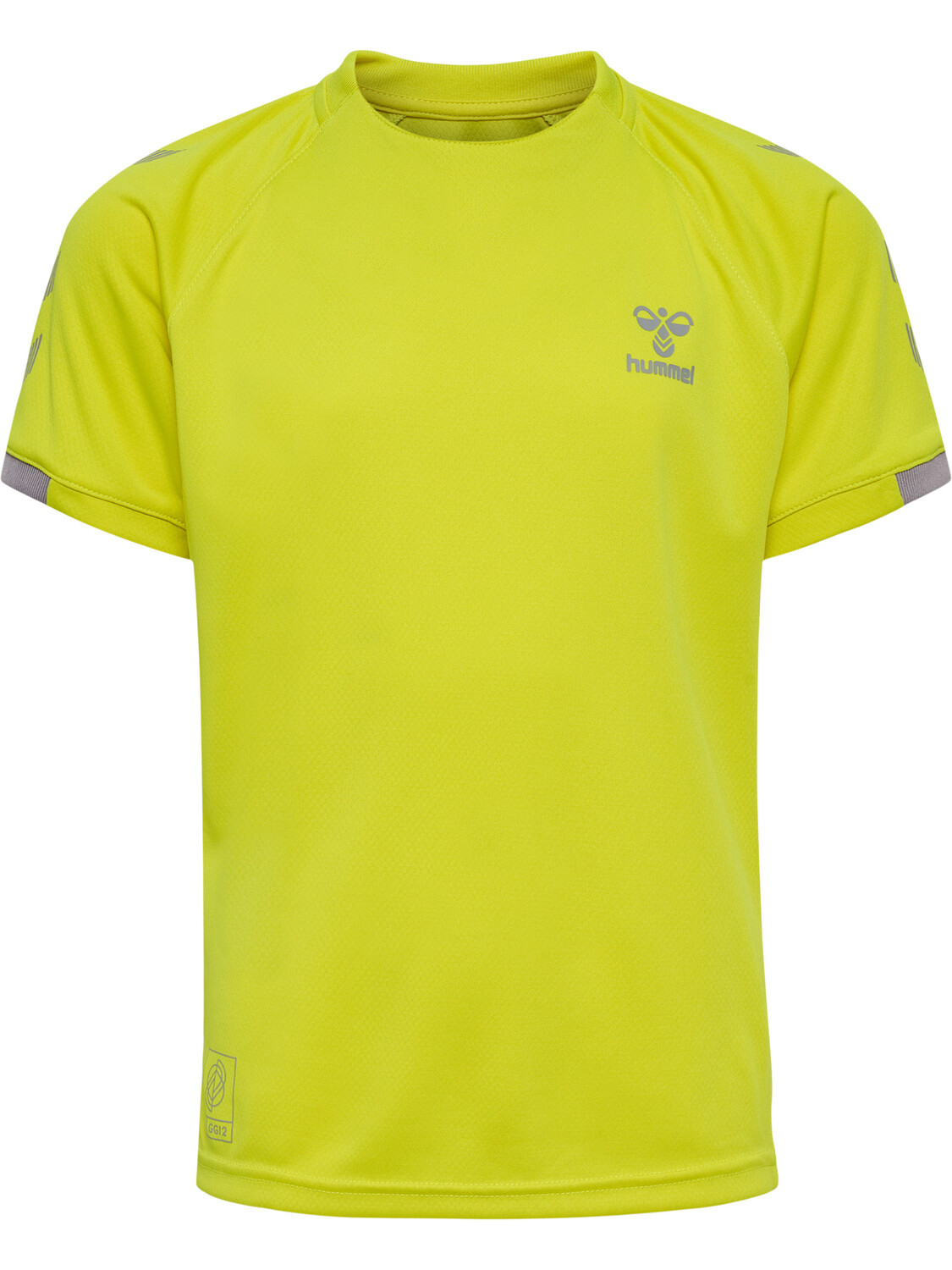 

Футболка Hummel Trikot S/S Hmlgg12 Action Jersey S/S Kids, цвет SULPHUR SPRING