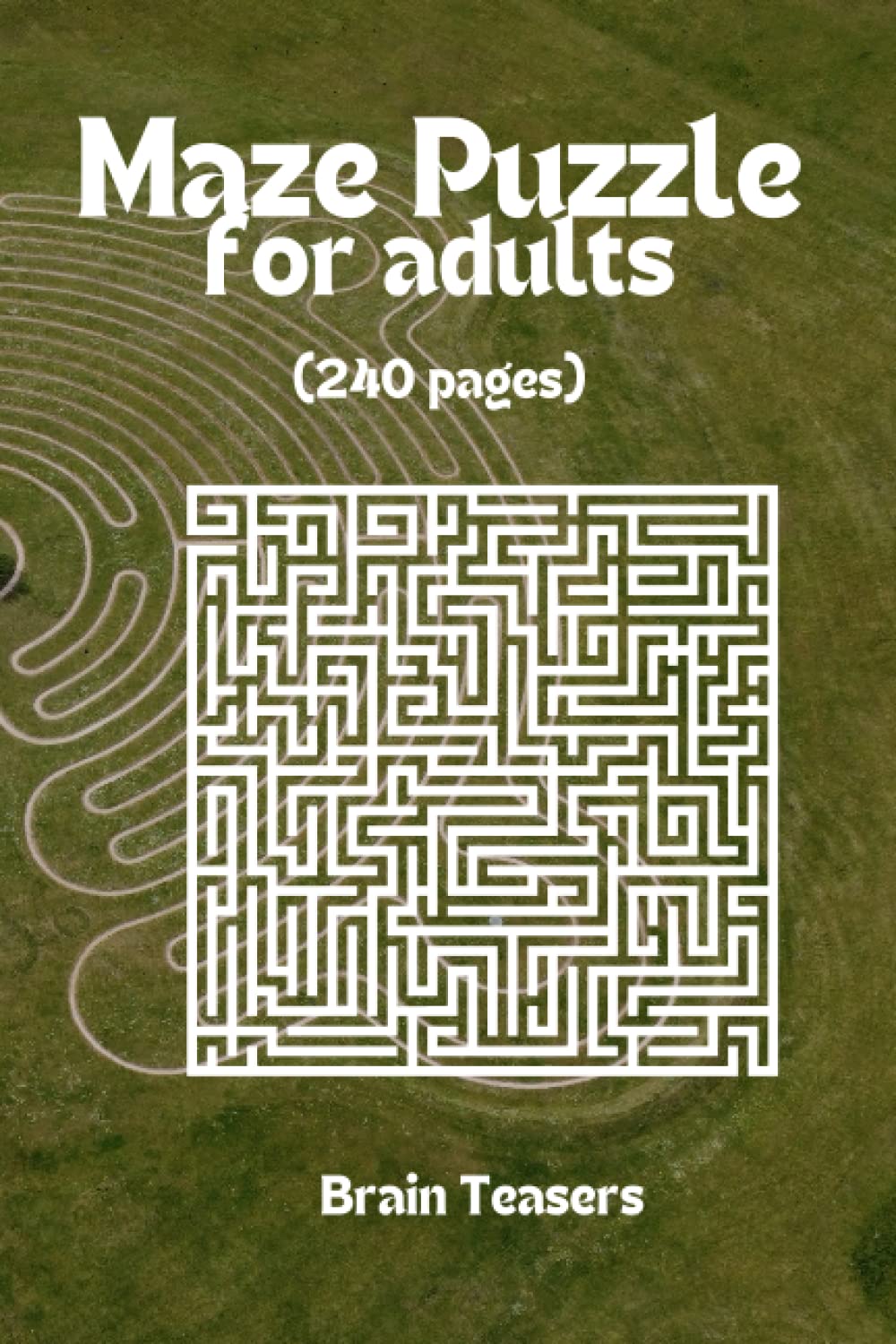 

240 Brain Teasers for Adults | | Labyrinth puzzles | Challenging mazes | Puzzle books for grown-ups | Brain teasers for adults | Maze puzzles for the curious mind | Brain games for adults (Independently published)