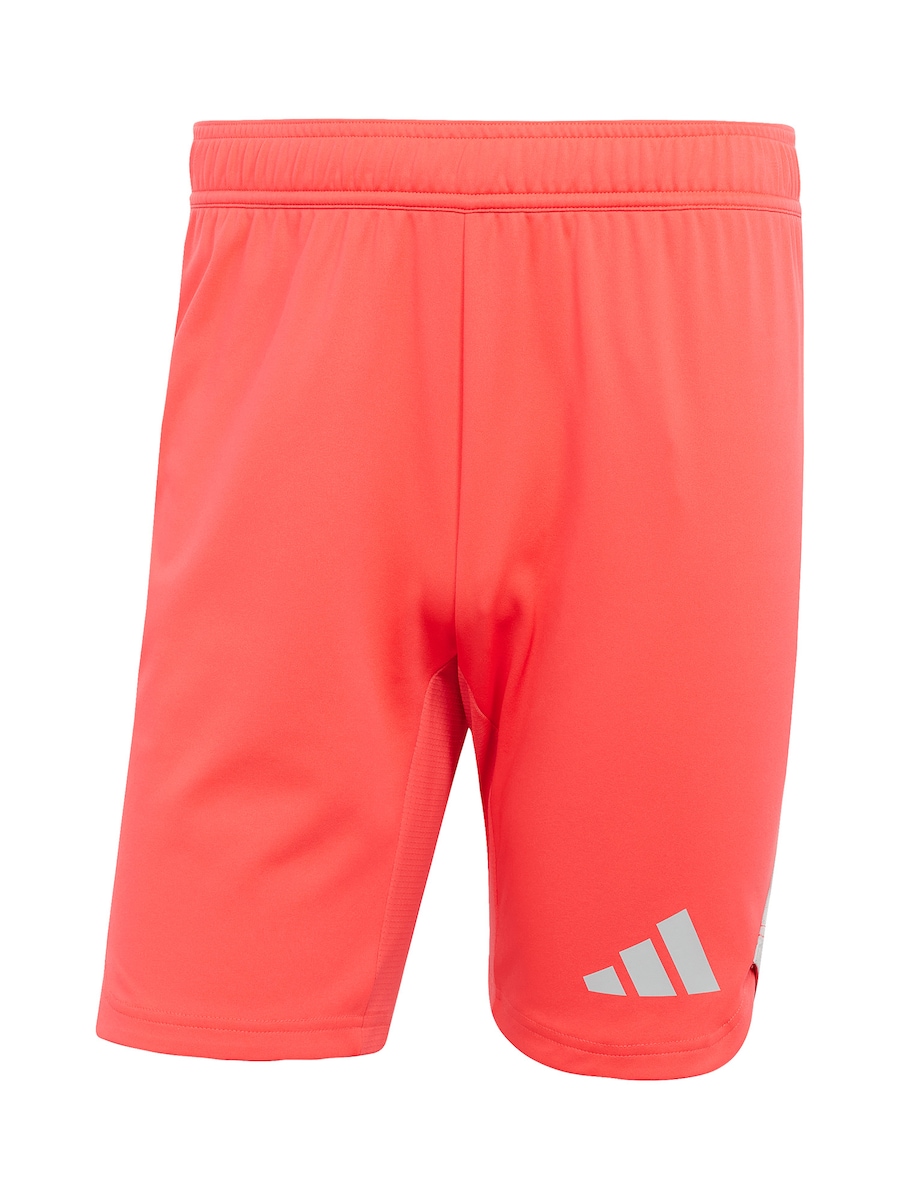 

Обычные спортивные штаны ADIDAS PERFORMANCE Tiro 25 Pro, красный