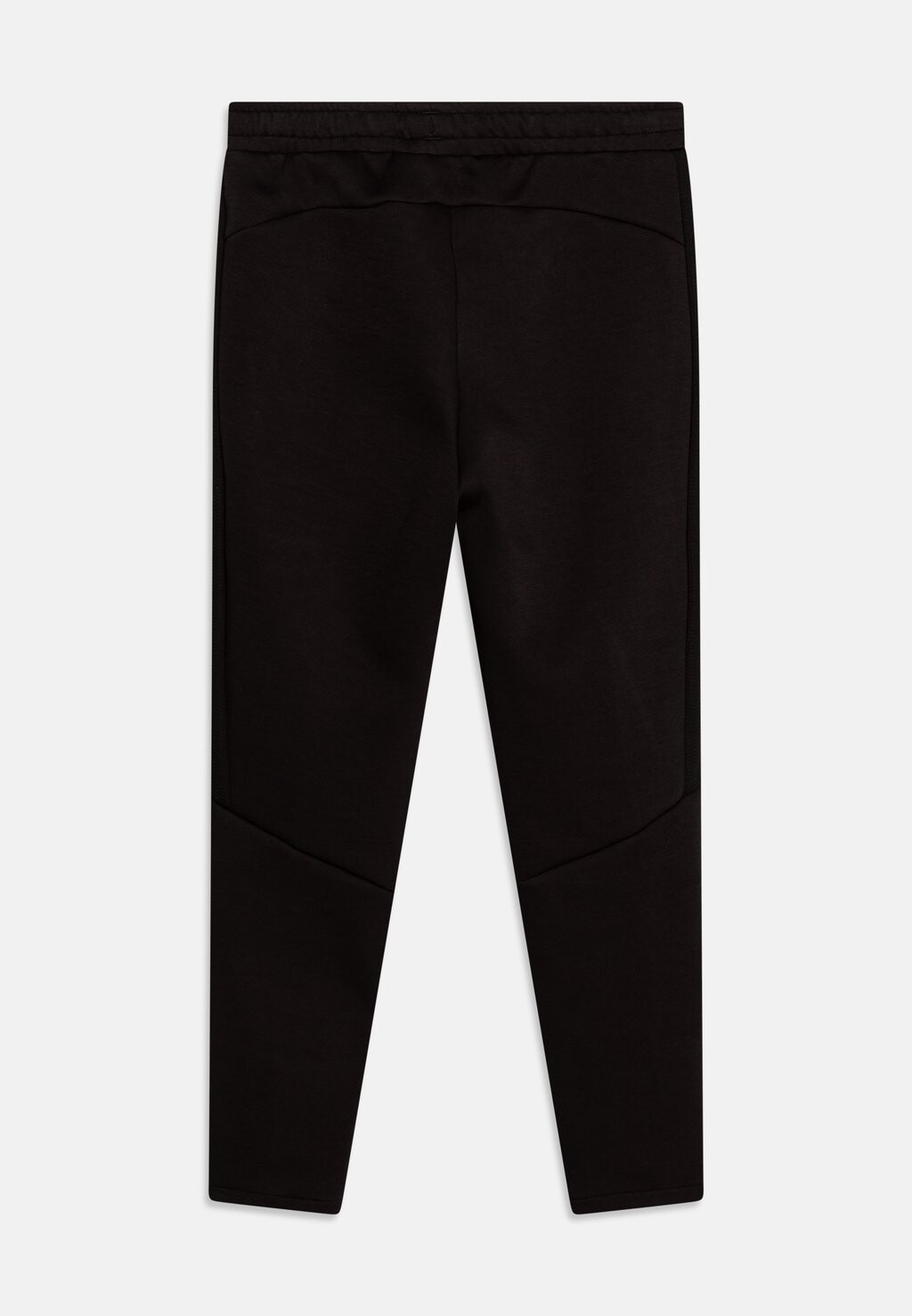 

Спортивные брюки Evostripe Pants Unisex Puma, черные