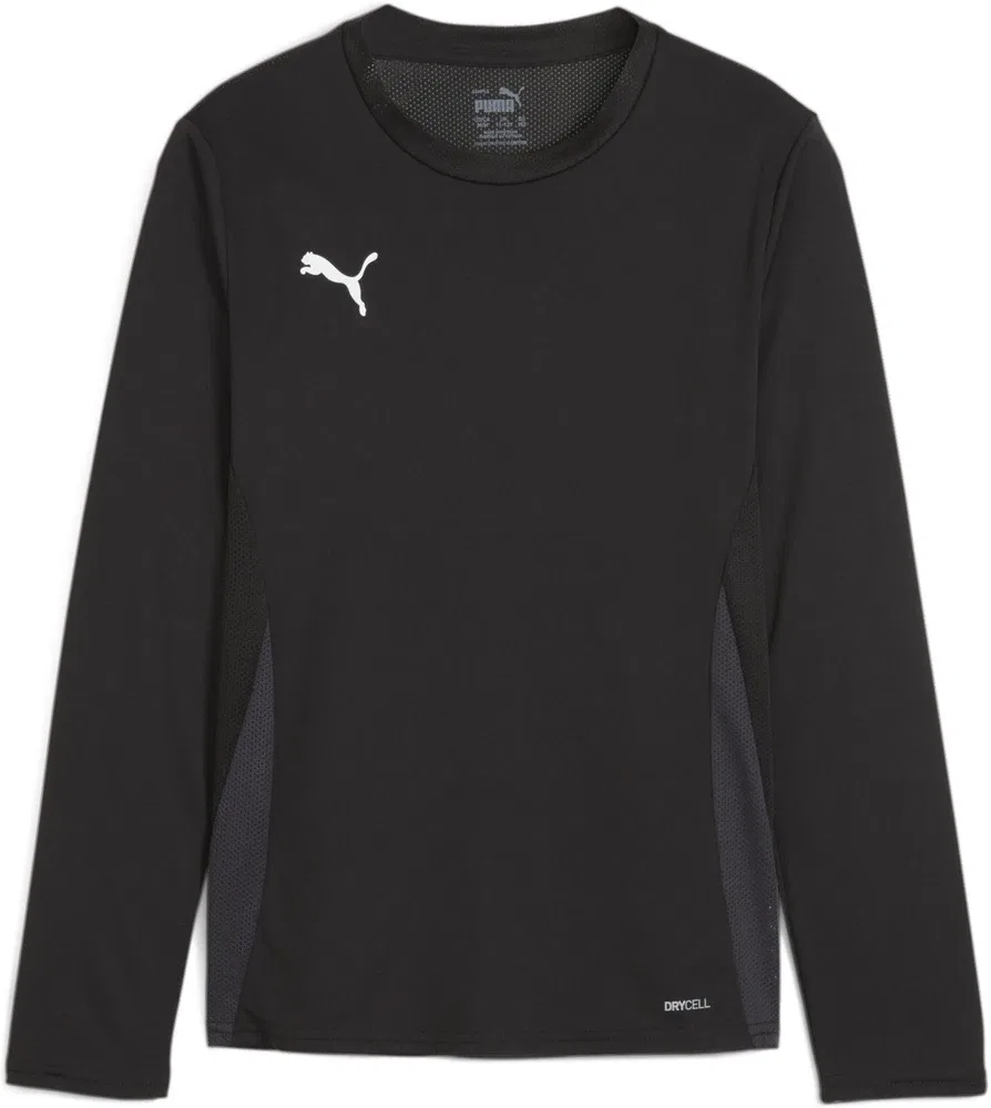 Футболка с длинным рукавом TeamGoal Longsleeve Jersey Jr Puma, черный