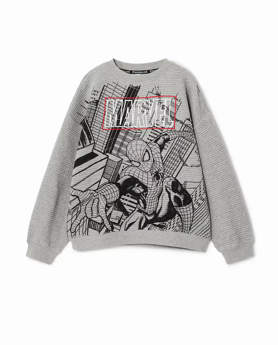 

Толстовка для мальчика Marvel Desigual, серый