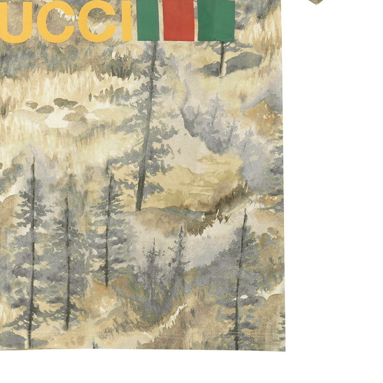 Футболка женская Gucci x The North Face с принтом, белый / серый — фото 3
