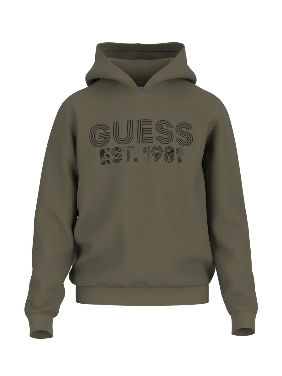 

Толстовка GUESS BEAU, зеленый