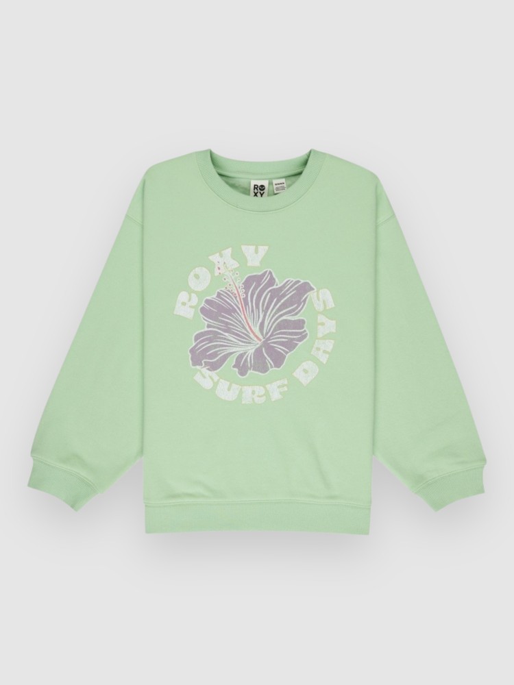 

Свитер Roxy Morning Hike Brushed Rg Kids Sweater, pistachio green