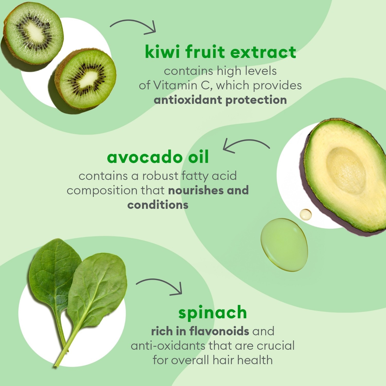 Маска для волос superfoods avocado + kiwi mega moisture hair mask Briogeo, объем 240 мл — фото 4