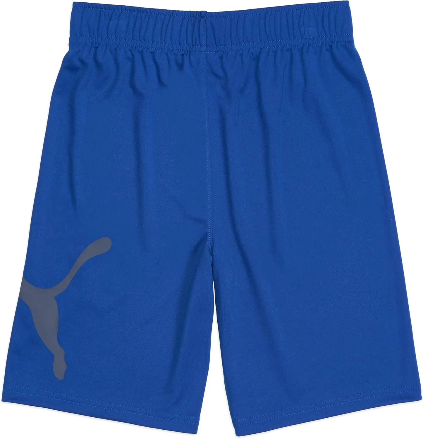Шорты спортивные PUMA Cobalt Glaze — фото 2
