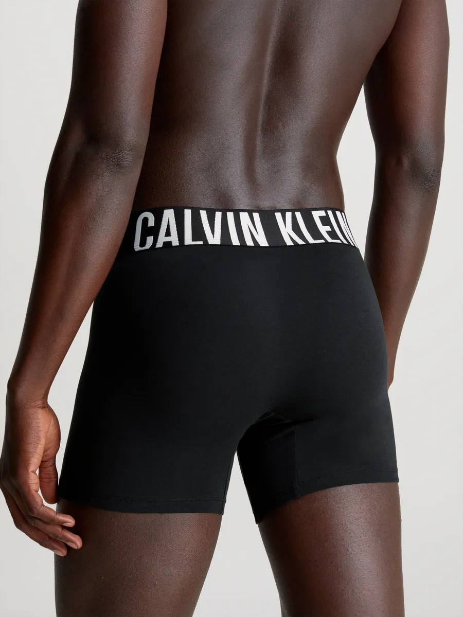 Боксеры Calvin Klein Underwear "BOXER BRIEF 3PK" (в упаковке 3 шт.), с эластичным поясом с логотипом, черный — фото 3
