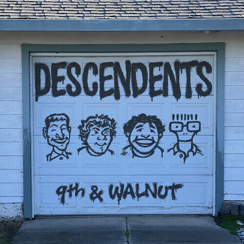 

Виниловая пластинка Descendents: 9th & Walnut
