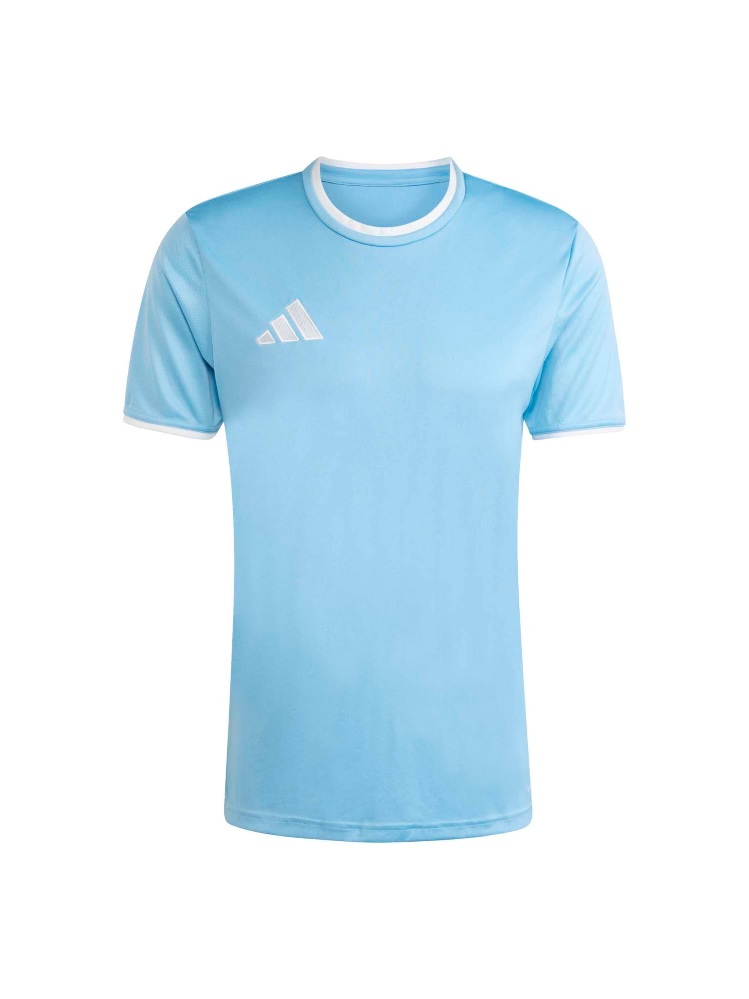 

Adidas Performance Футболка Performance 'ENT26' в светло-голубом цвете