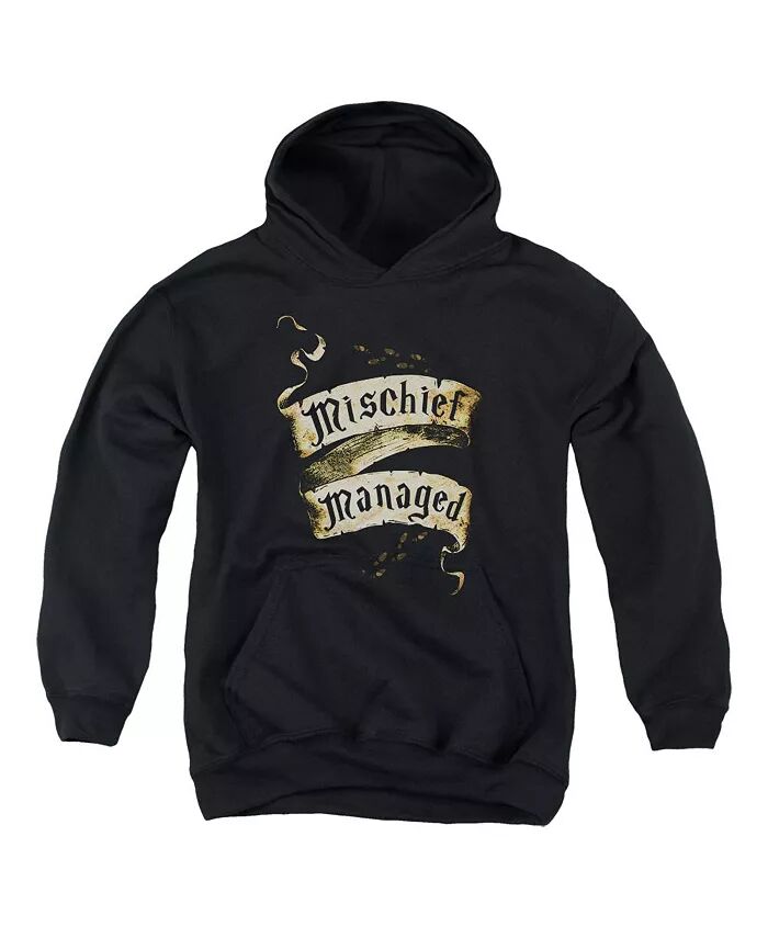 

Толстовка с капюшоном Youth Mischief Managed Pull Over Harry Potter, черный