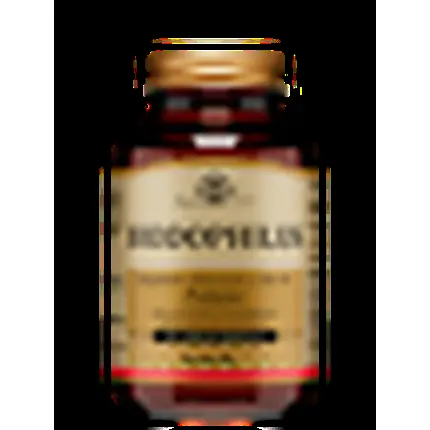 

Solgar Biodophilus 60 вегетарианских капсул Solgar It. Multinutrient Spa