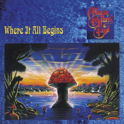 

CD диск Allman Brothers Band: Where It All Begins
